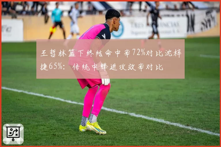 王哲林篮下终结命中率72%对比沈梓捷65%:传统中锋进攻效率对比