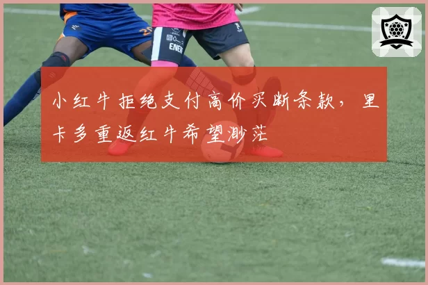 小红牛拒绝支付高价买断条款，里卡多重返红牛希望渺茫