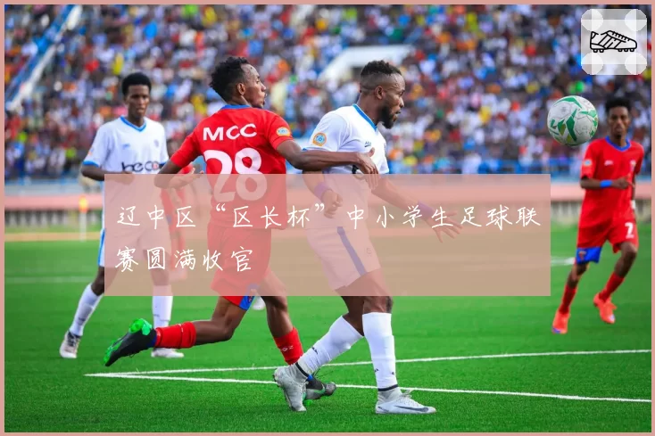 辽中区“区长杯”中小学生足球联赛圆满收官