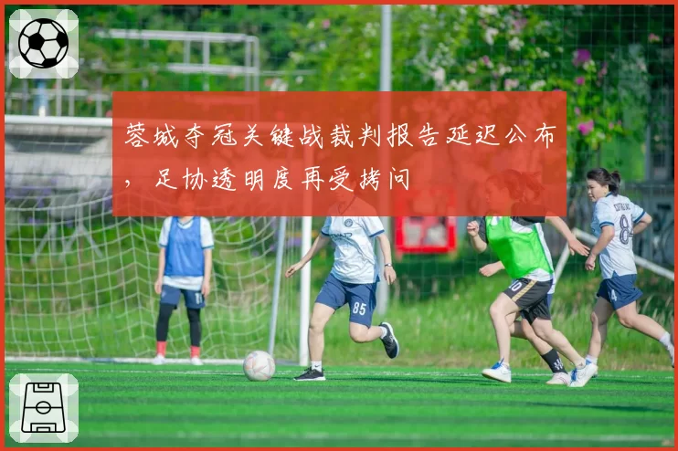 蓉城夺冠关键战裁判报告延迟公布，足协透明度再受拷问