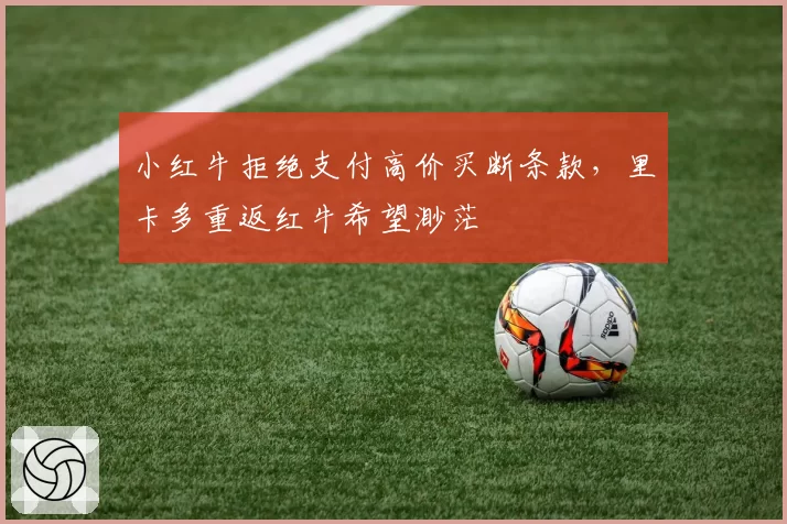 小红牛拒绝支付高价买断条款，里卡多重返红牛希望渺茫
